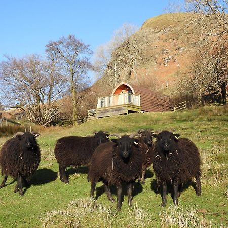 The Wee Lodge Mallaig Zewnętrze zdjęcie